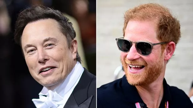 Prens Harry'den Musk'a sert tepki